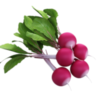 radish png transparent background