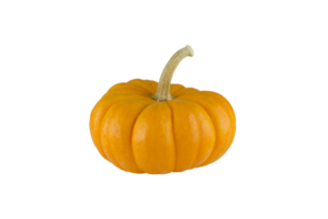 Pumpkin png transparent background