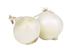 onion png transparent background