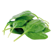 spinach png transparent background