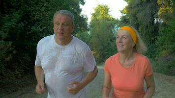 Senior couple jogging in the forest video