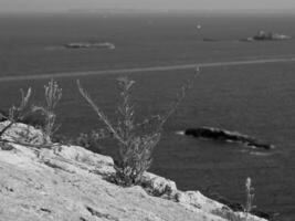 the island of Ibiza photo