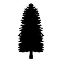 pino árbol icono vector. Navidad árbol ilustración signo. pino símbolo o logo. vector