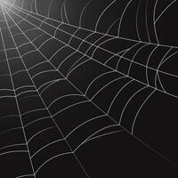 spider web background isolated black background vector