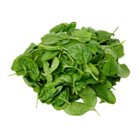 spinach png transparent background