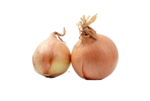 onion png transparent background