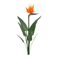 Vogel von Paradies Blume png transparent Hintergrund