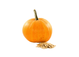 Pumpkin png transparent background