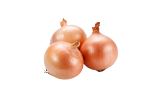 onion png transparent background