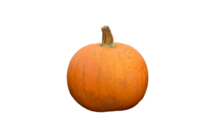 zucca png trasparente sfondo