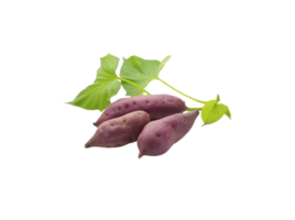 zoet aardappel PNG transparant achtergrond