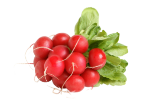 radish png transparent background