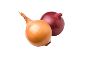 Zwiebel png transparent Hintergrund