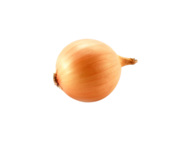 onion png transparent background