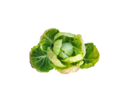 Kohl png transparent Hintergrund