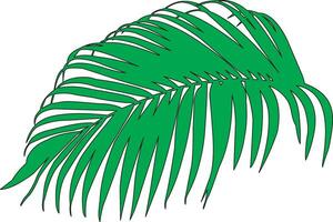 palma hojas. verde hoja de palma árbol en transparente antecedentes. floral antecedentes. sombra antecedentes superposiciones realista sombra burlarse de arriba escenas vector