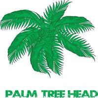 tropical palma arboles conjunto siluetas.negro palma arboles conjunto aislado en blanco antecedentes. palma siluetas vector
