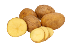 batata png transparente fundo