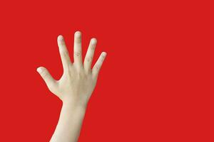 Female hand showing five fingers isolated on red background with copy space. photo