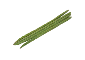 kycklingben png transparent bakgrund