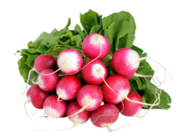 radish png transparent background