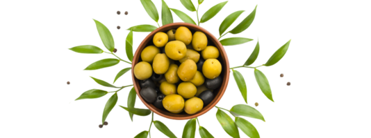 aceituna png transparente antecedentes