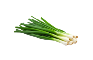 onion png transparent background