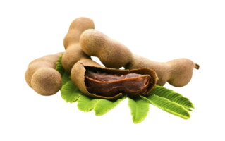 Tamarind png transparent background