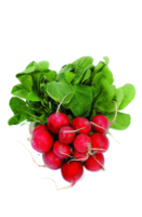 radish png transparent background