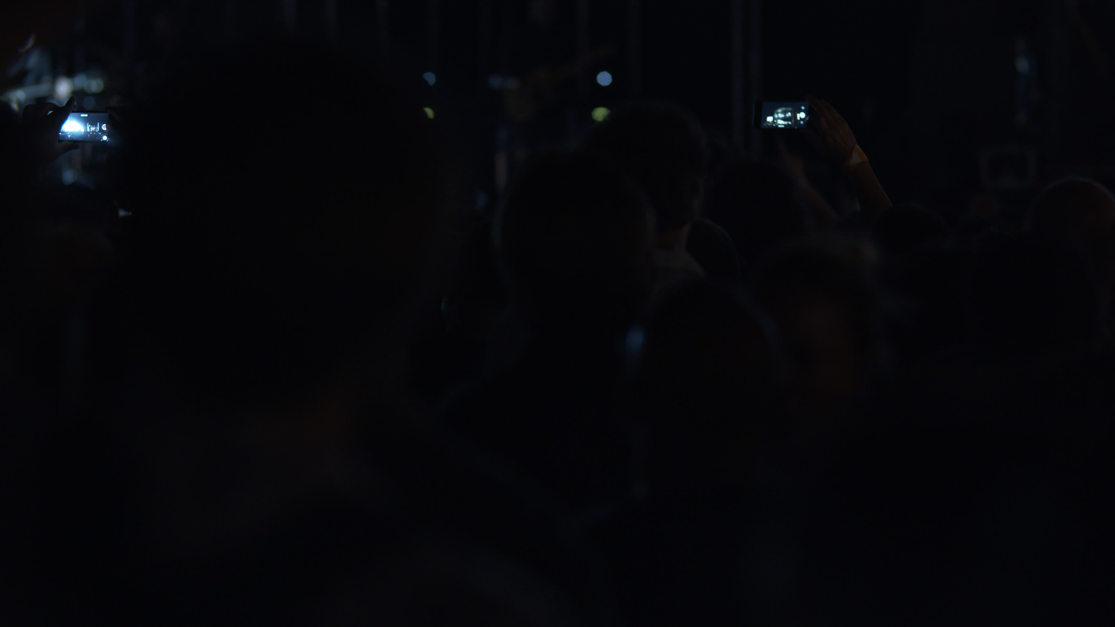 Enjoying concert fans backs 29720202 Stock Video at Vecteezy