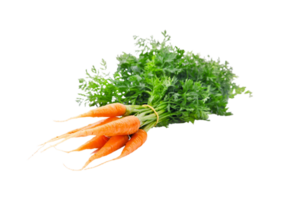 carrot png transparent background