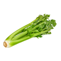 celery png transparent background