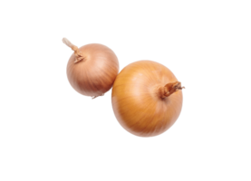 onion png transparent background