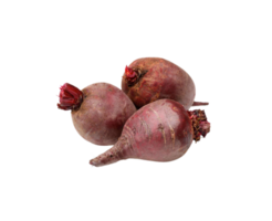 Rote Beete png transparent Hintergrund