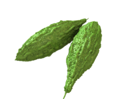 Bitter gourd png transparent background