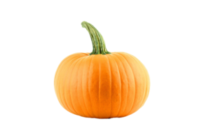 Pumpkin png transparent background