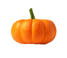 zucca png trasparente sfondo