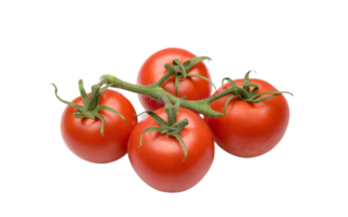 tomate png transparente antecedentes