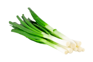 onion png transparent background