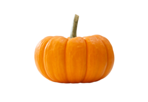 zucca png trasparente sfondo