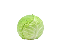 cabbage png transparent background