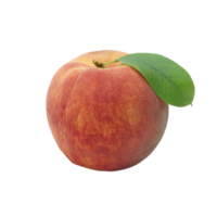 peach png transparent background