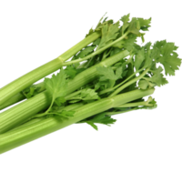 celery png transparent background