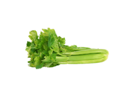 celery png transparent background