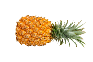 ananas png transparent bakgrund