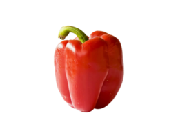 Bell pepper png transparent background