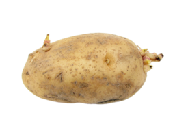 Kartoffel png transparent Hintergrund