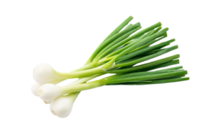 onion png transparent background