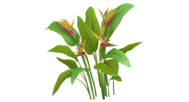 Vogel von Paradies Blume png transparent Hintergrund