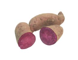 sweet potato png transparent background